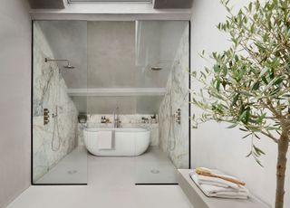 a microcement bathroom with an olive tree inside